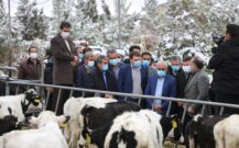 پیگیری راه اندازی واحدهای دامی بالای ۱۰۰۰ رأس در شهرستان های کرمان و راور/ حمایت از واحدهای کشاورزی و صنایع تبدیلی